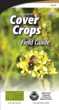 Cover crops guide